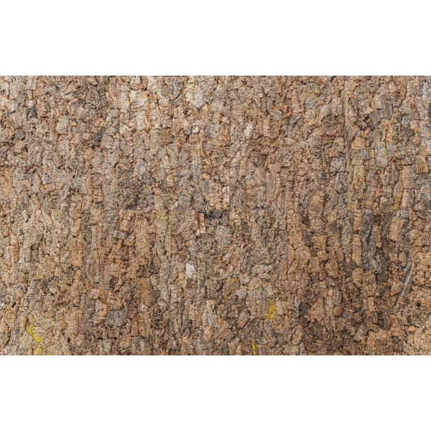 SELF ADHESIVE Decorative wall cork bark VIRGIN 25x610x915mm