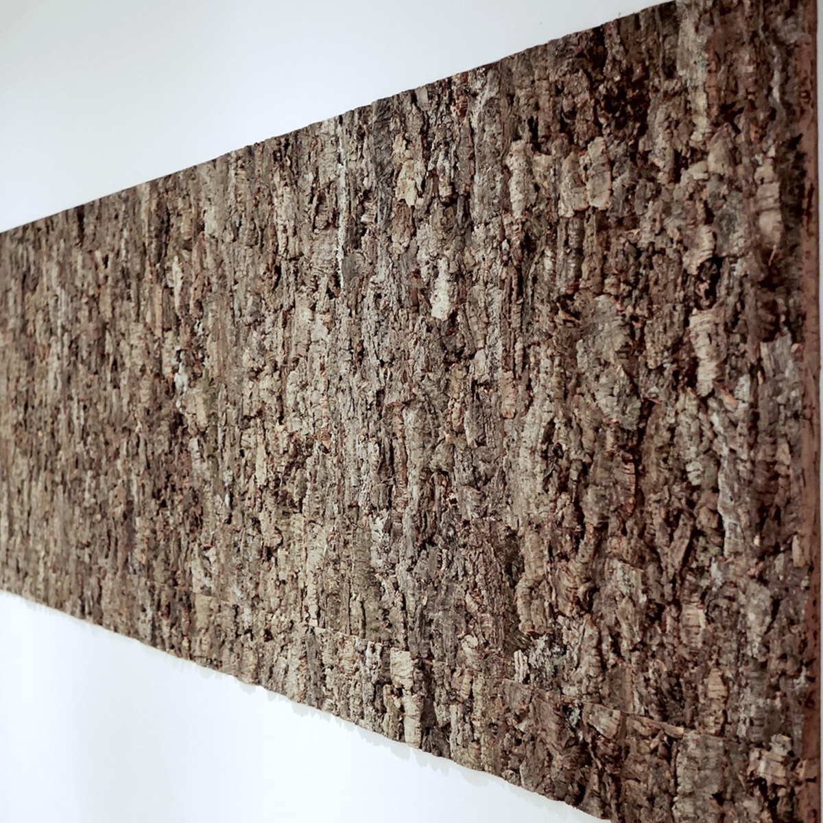 Korkrinde eine dekorative Korkrückwand im Terrarium/ Aquarium